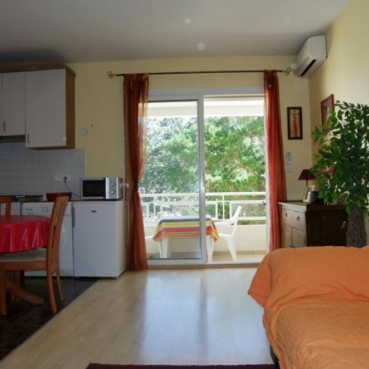  Annonces BASTIA : Apartment | CALVI (20260) | 34 m2 | 178 000 € 